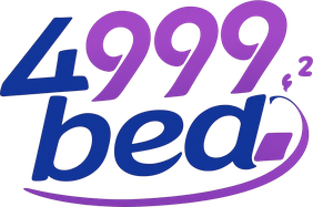 4999 bed লোগো